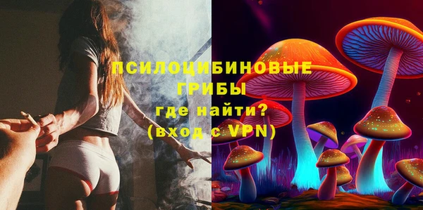 эйфоретик Бородино