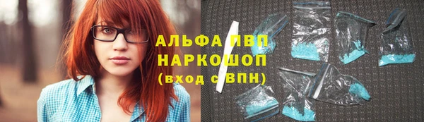 эйфоретик Бородино