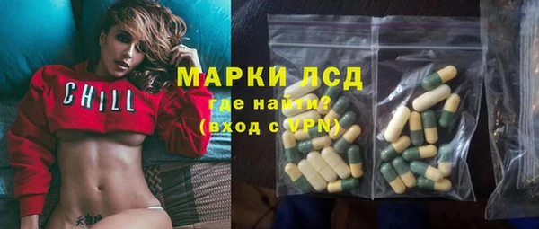 эйфоретик Бородино