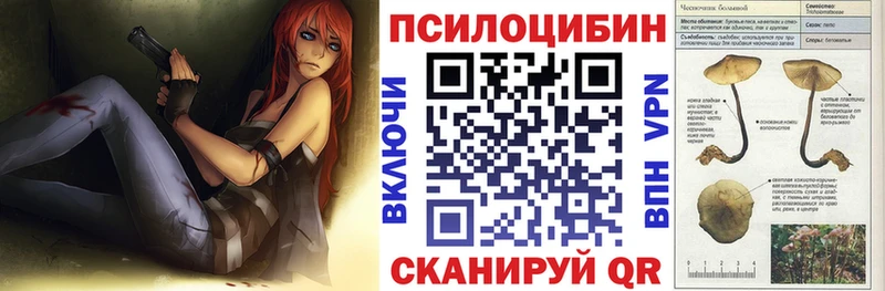 Псилоцибиновые грибы Magic Shrooms  Купить закладки  Малая Вишера 